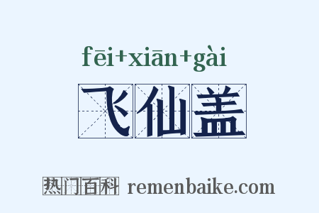 飞仙盖是什么意思的图片